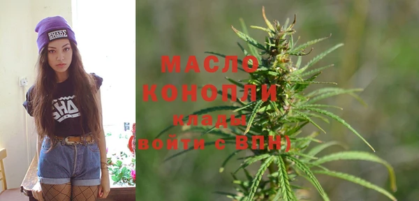 гашик Инсар