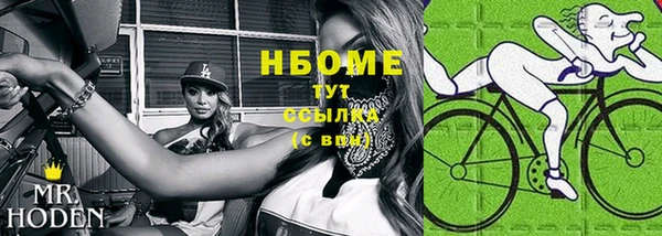 гашик Инсар