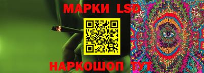 дмт Кингисепп
