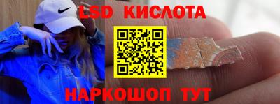 дмт Кингисепп