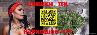 дмт Кингисепп
