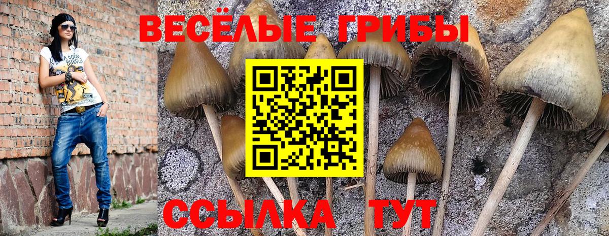 Саянск  Галлюциногенные грибы Magic Shrooms  Галлюциногенные грибы Cubensis  наркотики  Вход с VPN 