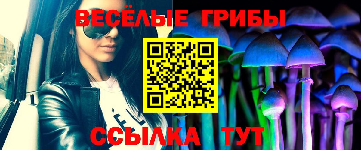 Галлюциногенные грибы ЛСД Саянск